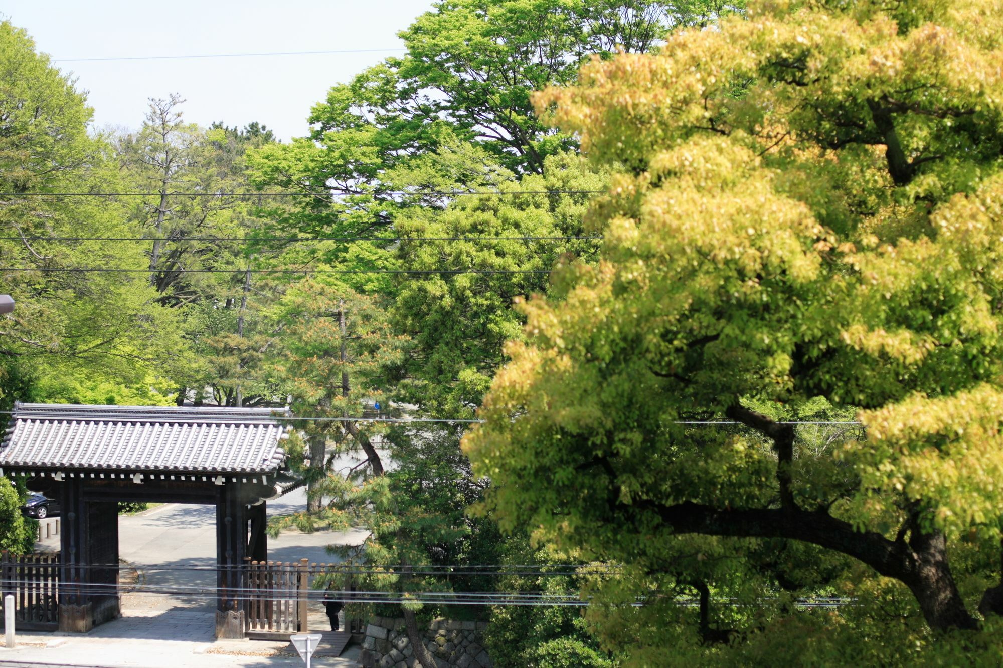 Kyoto Garden Palace Exteriör bild